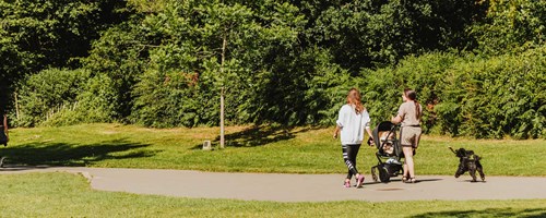 Two women walking in the park with their pram and dog